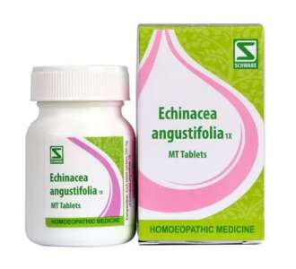 Echinacea angustifolia 1X