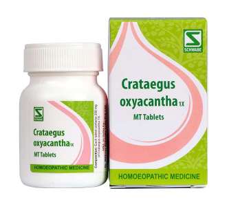 Crataegus oxyacantha 1x MT tabs