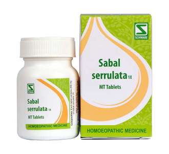 Sabal serrulata 1x MT Tabs