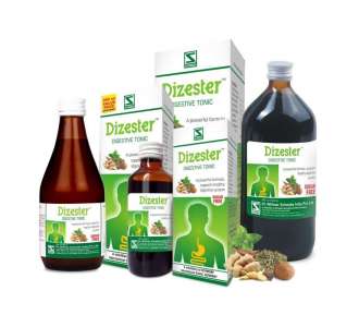 Dizester