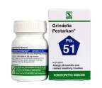 Grindelia Pentarkan*