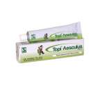 Topi Aesculus Cream
