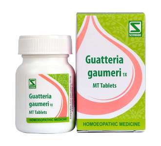 Guatteria gaumeri 1x