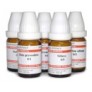 LM Potencies homeopathic medicine