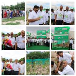 DEVELOPMENT OF MINI FOREST BY ADOPTING JAPANESE METHOD